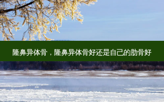 隆鼻异体骨，隆鼻异体骨好还是自己的肋骨好