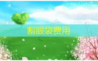 割眼袋费用