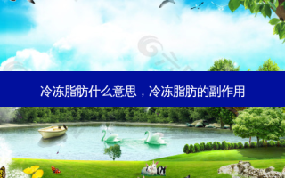 冷冻脂肪什么意思，冷冻脂肪的副作用