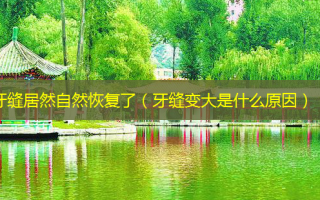 牙缝居然自然恢复了（牙缝变大是什么原因）