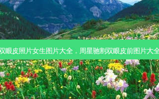 双眼皮照片女生图片大全，周星驰割双眼皮前图片大全