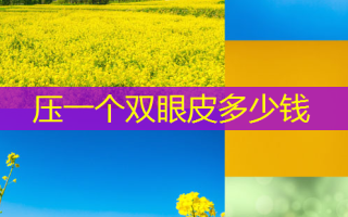 压一个双眼皮多少钱