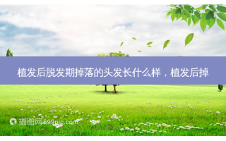 植发后脱发期掉落的头发长什么样，植发后掉