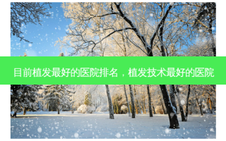 目前植发好的医院排名，植发技术好的医院