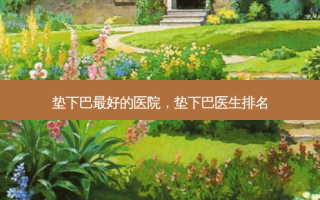 垫下巴 *** 的医院，垫下巴医生排名