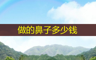 做的鼻子多少钱