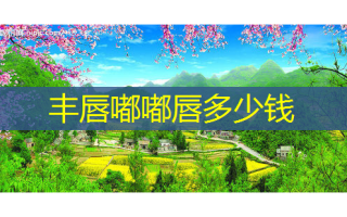 丰唇嘟嘟唇多少钱