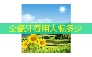 全瓷牙费用大概多少