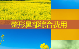 整形鼻部综合费用
