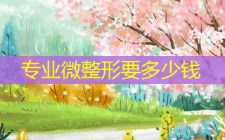 专业微整形要多少钱