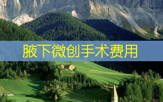 腋下微创手术费用
