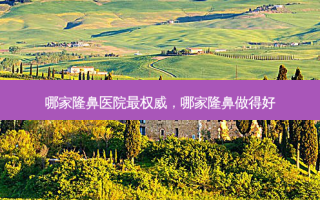 哪家隆鼻医院，哪家隆鼻做得好