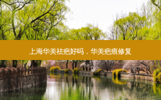 上海华美祛疤好吗，华美疤痕修复