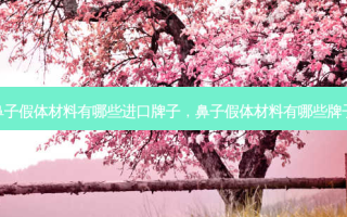 鼻子假体材料有哪些进口牌子，鼻子假体材料有哪些牌子