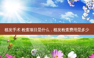 植发手术 检查项目是什么，植发检查费用是多少