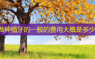 做种植牙的一般的费用大概是多少