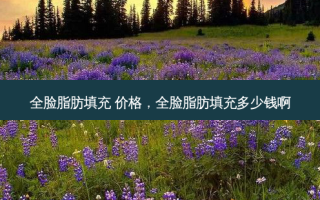 全脸脂肪填充 价格，全脸脂肪填充多少钱啊