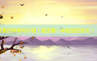 牙套的种类和价格（戴牙套一年脸型的变化）