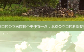 北京口腔公立医院哪个更便宜一点，北京公立口腔科医院排名