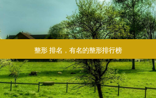 整形 排名，有名的整形排行榜
