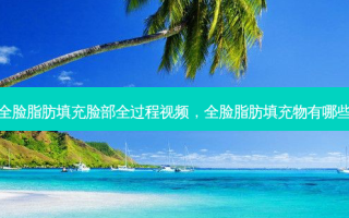 全脸脂肪填充脸部全过程视频，全脸脂肪填充物有哪些