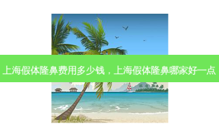 上海假体隆鼻费用多少钱，上海假体隆鼻哪家好一点