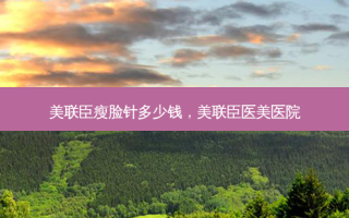 美联臣瘦脸针多少钱，美联臣医美医院