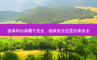 假体和自体哪个 *** ，假体 *** 还是自体 *** 