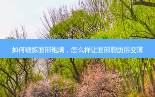 如何锻炼面部饱满，怎么样让面部脂肪层变薄