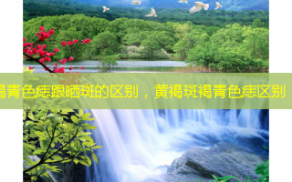 褐青色痣跟晒斑的区别，黄褐斑褐青色痣区别