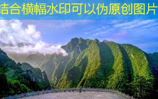 隆鼻有哪些价格