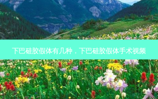 下巴硅胶假体有几种，下巴硅胶假体手术视频