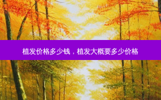 植发价格多少钱，植发大概要多少价格