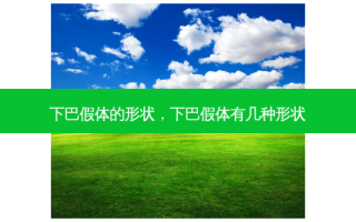 下巴假体的形状，下巴假体有几种形状