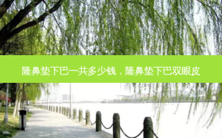 隆鼻垫下巴一共多少钱，隆鼻垫下巴双眼皮