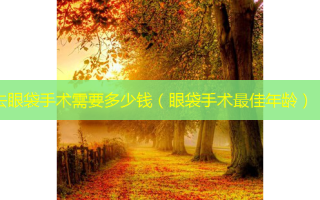去眼袋手术需要多少钱（眼袋手术佳年龄）
