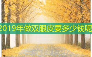 2019年做双眼皮要多少钱呢