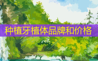 种植牙植体品牌和价格