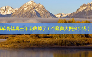 耳软骨隆鼻三年吸收掉了（个隆鼻大概多少钱）