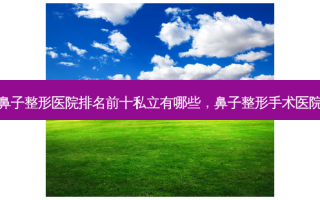鼻子整形医院排名前十私立有哪些，鼻子整形手术医院