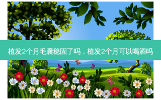 植发2个月毛囊稳固了吗，植发2个月可以喝酒吗
