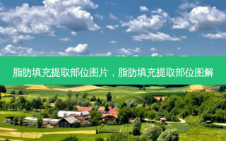 脂肪填充提取部位图片，脂肪填充提取部位图解