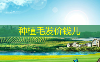 种植毛发价钱儿