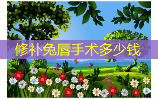 修补兔唇手术多少钱