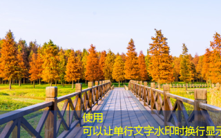 补疤痕多少钱