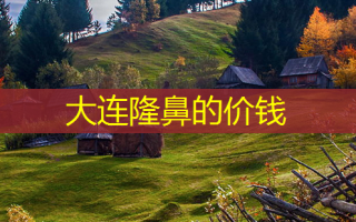 大连隆鼻的价钱