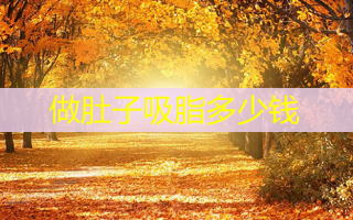做肚子吸脂多少钱