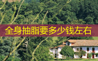 全身抽脂要多少钱左右