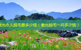 激光永久脱毛要多少钱（激光脱毛一共多少钱）