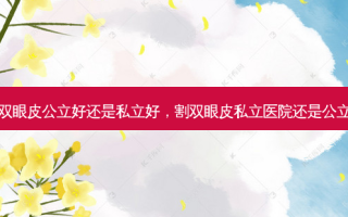 割双眼皮公立好还是私立好，割双眼皮私立医院还是公立好